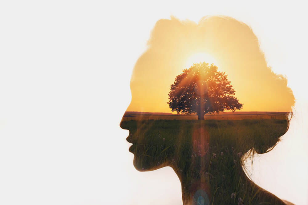 How does the causal body affect our yoga practice?